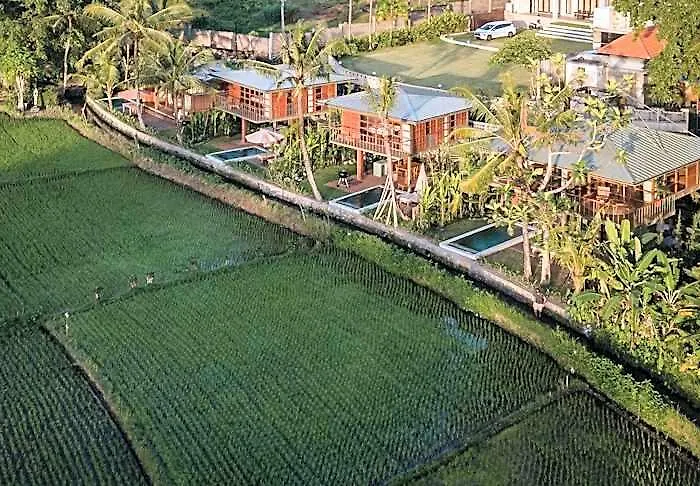 リゾート Gruen Canggu Garden Buduk