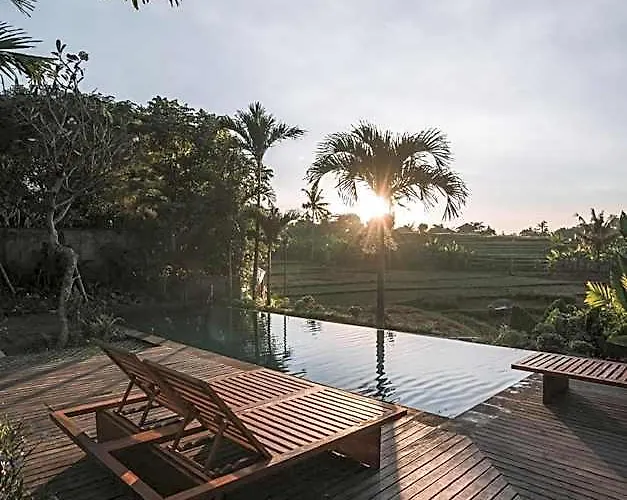 リゾート Gruen Canggu Garden Buduk